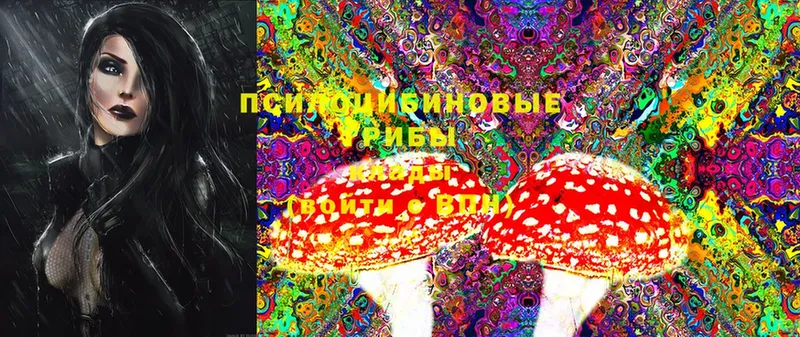 Галлюциногенные грибы MAGIC MUSHROOMS  продажа наркотиков  mega как зайти  Никольск 